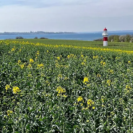 Hausboot-lafe Flensburger Foerde Hotel en barco